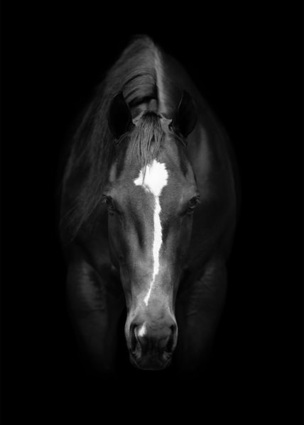 Photograph Tony Mendes Euforia on One Eyeland