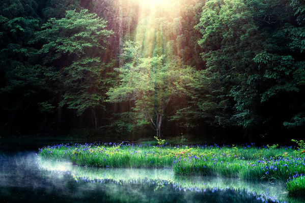 Photograph Naoya Yoshida Paradise on One Eyeland