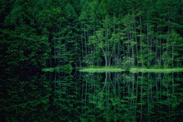 Photograph Naoya Yoshida Resonate Green on One Eyeland