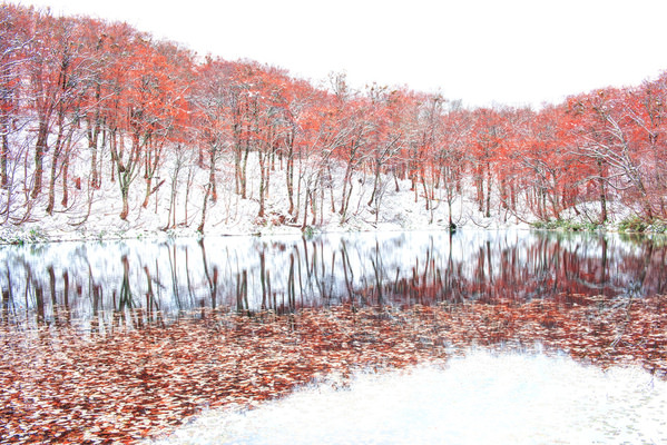 Photograph Naoya Yoshida Crossroads Of Seasons on One Eyeland