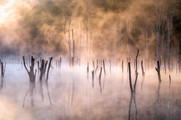 Photograph Yuusei Nagahata Shining In The Morning Sun on One Eyeland