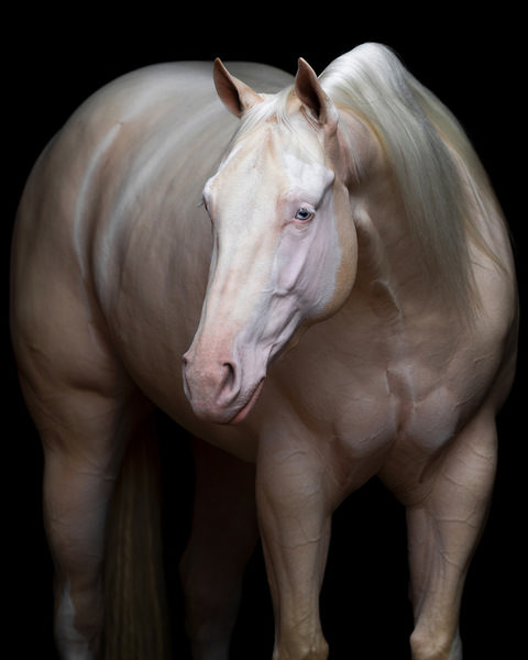 Photograph Tony Mendes Half Moon on One Eyeland