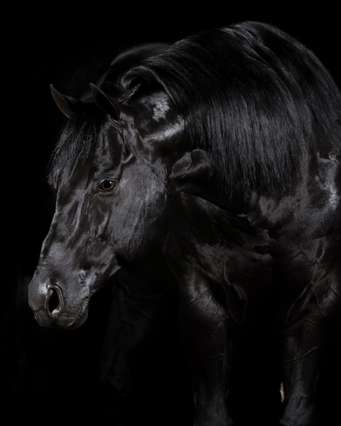 Photograph Tony Mendes Black Diammond on One Eyeland
