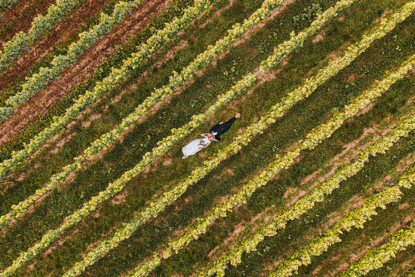 Photograph Dirk Spoerer In The Vineyards on One Eyeland