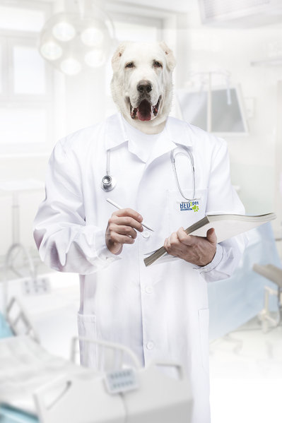 Photograph Jano Stovka Dogtor on One Eyeland