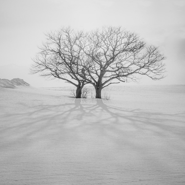 Photograph Kazuyuki Toriumi Twins on One Eyeland