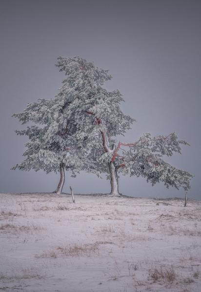 Photograph Marko Klavs Lean On Me on One Eyeland