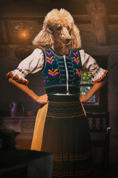 Photograph Jano Stovka Ethno Dog on One Eyeland
