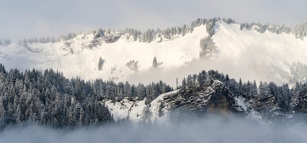 Photograph Cedric Brion Studio Clavicule Pics Fog on One Eyeland