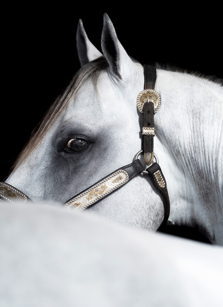 Photograph Tony Mendes Spiare on One Eyeland