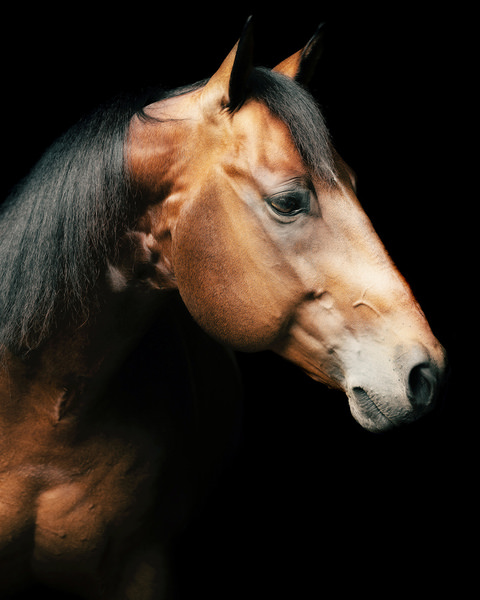 Photograph Tony Mendes Caput on One Eyeland