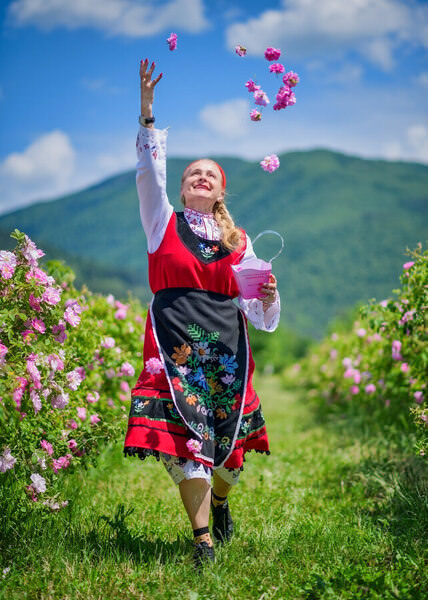 Photograph Vasil Nanev Rose Pick on One Eyeland