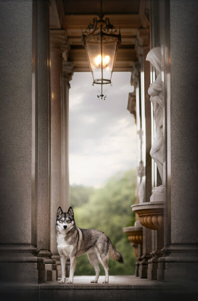 Photograph Fleur Scholte On The Steps Of The Palace on One Eyeland