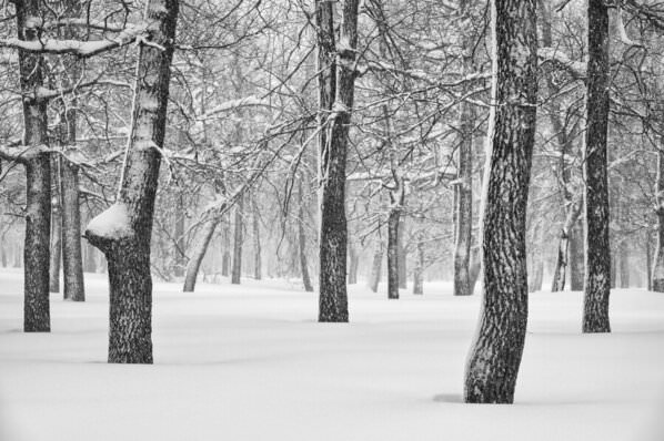 Photograph Evgeny Ivanov Winter on One Eyeland