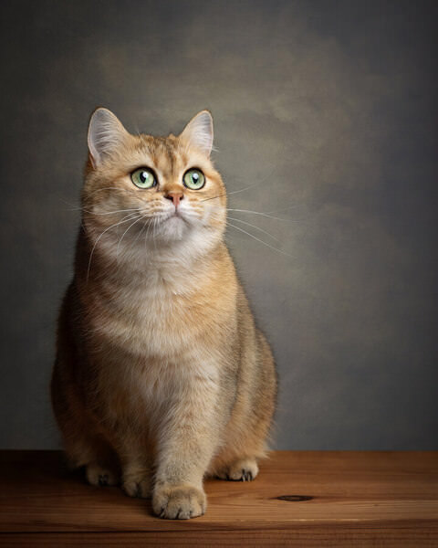Photograph Kat De Laet Pondering on One Eyeland