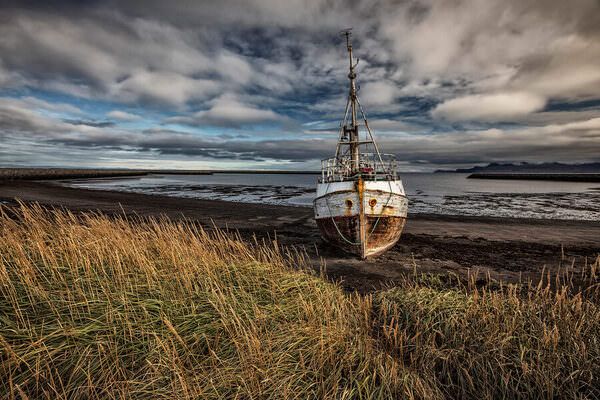Photograph Bragi Ingibergsson Brin Washed Up on One Eyeland