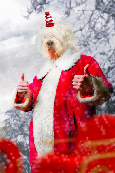 Photograph Jano Stovka Hawta Claus on One Eyeland