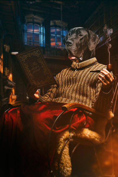 Photograph Jano Stovka Sherdog Holmes on One Eyeland