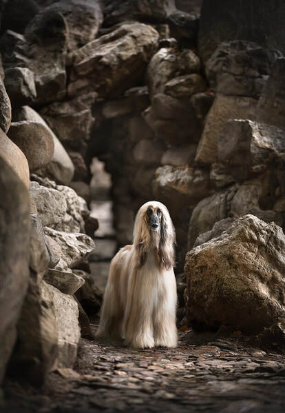 Photograph Fleur Scholte Lodewijk on One Eyeland