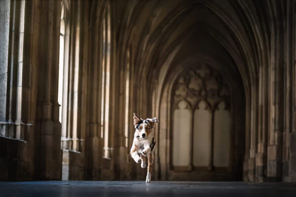 Photograph Fleur Scholte Koda on One Eyeland