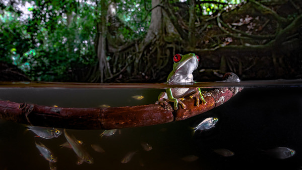 Photograph Pepe Manzanilla Ranacansada on One Eyeland