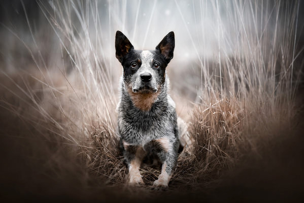 Photograph Fleur Scholte Frost on One Eyeland