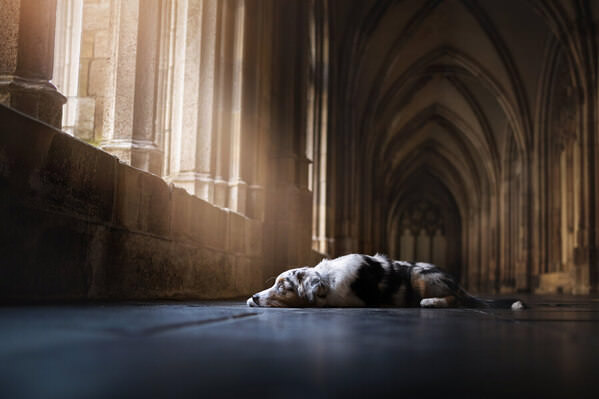 Photograph Fleur Scholte Koda on One Eyeland