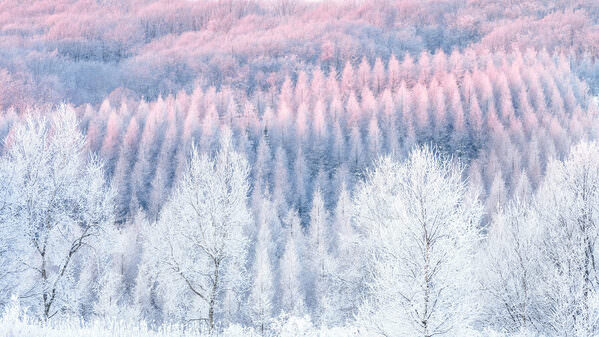 Photograph Yuusei Nagahata Hill Dyed In The Morning Sun on One Eyeland