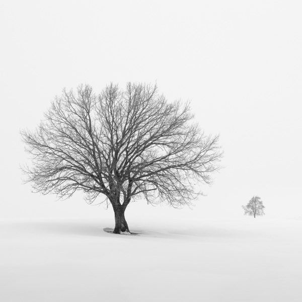 Photograph Tatiana Biriukova Two on One Eyeland