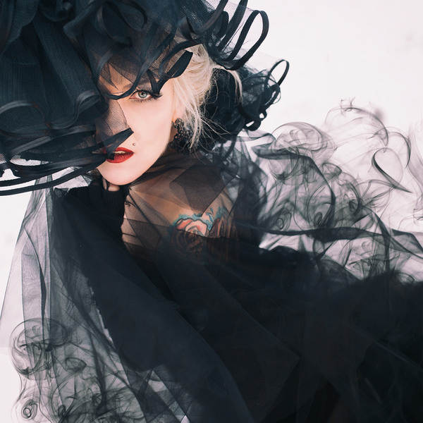 Photograph Mandy Hady Schulte Black Widow on One Eyeland
