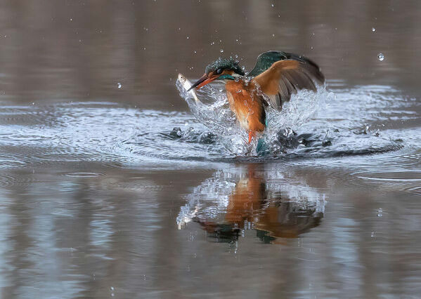 Photograph Stefano Caccia Fresh Fish on One Eyeland