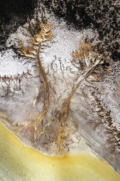 Photograph Graham Earnshaw Coral Twins Flow on One Eyeland