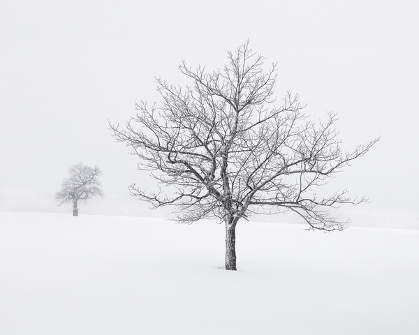 Photograph Tatiana Biriukova Two Different on One Eyeland