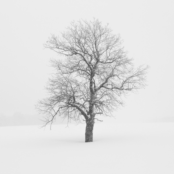 Photograph Tatiana Biriukova One on One Eyeland