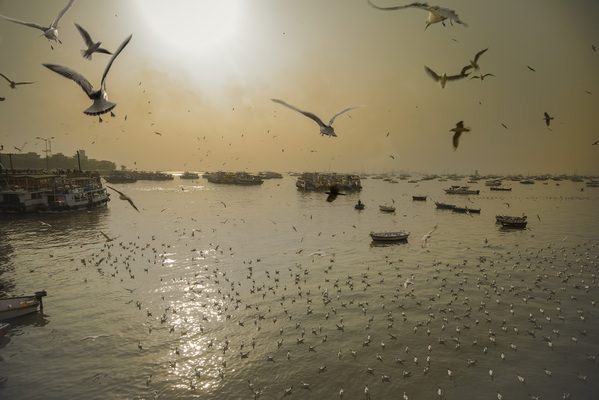 Photograph Adam Regan Colaba Harbour on One Eyeland