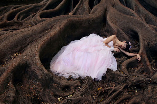 Photograph Luis Lobo Henriques The Nest Of Venus on One Eyeland