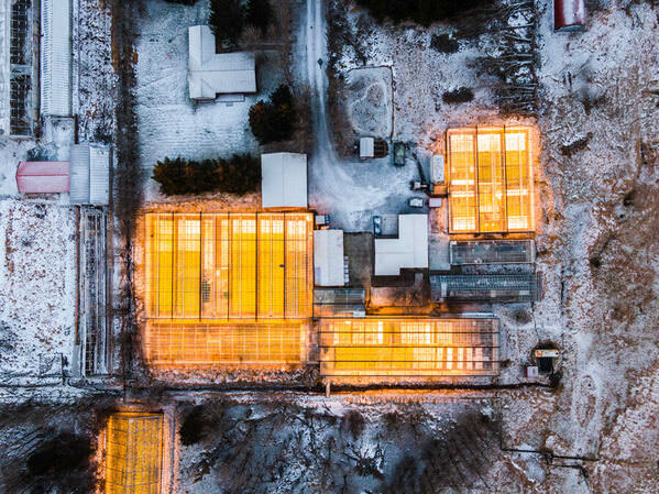 Photograph Bragi Thor Josefsson Greenhouses on One Eyeland