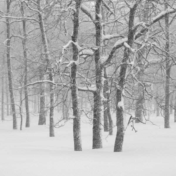 Photograph Evgeny Ivanov Winter on One Eyeland