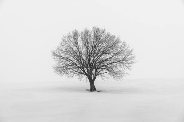 Photograph Evgeny Ivanov In Silence on One Eyeland