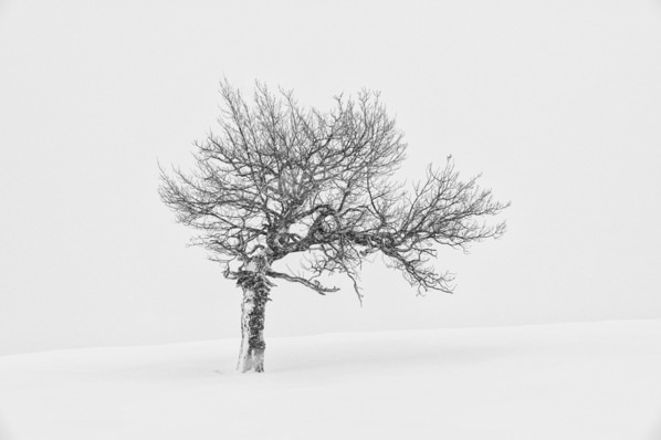Photograph Evgeny Ivanov Frozen on One Eyeland