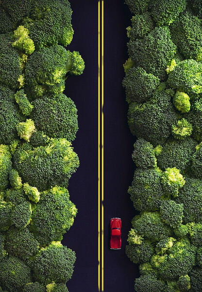 Photograph Yuliy Vasilev The Broccoli Forest on One Eyeland