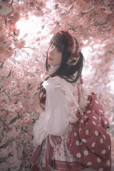 Photograph Danduka Yasuo Cherry Blossom on One Eyeland