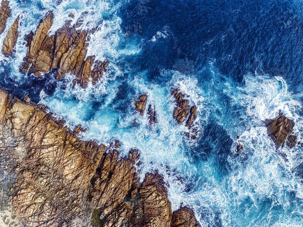 Photograph Graham Earnshaw Naturally Naturaliste on One Eyeland