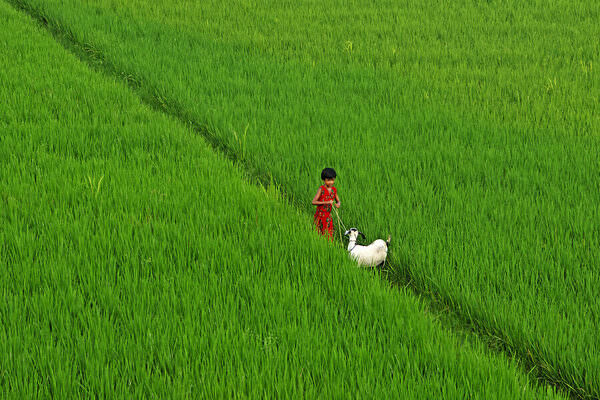 Photograph Chinmoy Biswas Through The Green on One Eyeland