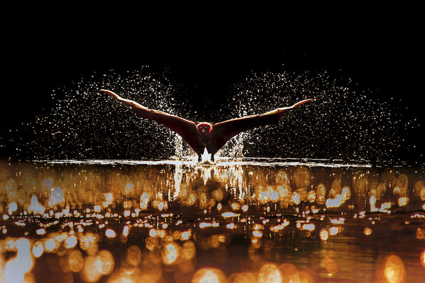 Photograph Sujon Adikary Lets Fly on One Eyeland