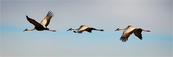 Photograph Alan Kai Three Flying Sto on One Eyeland