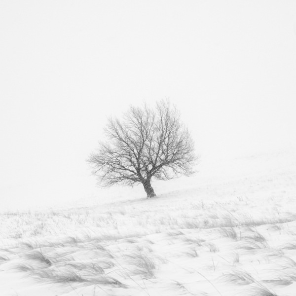 Photograph Evgeny Ivanov Snow Flakes on One Eyeland