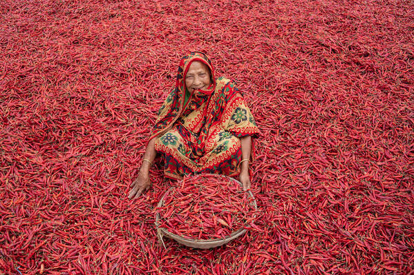Photograph Sujon Adikary Red Chili Pickers on One Eyeland