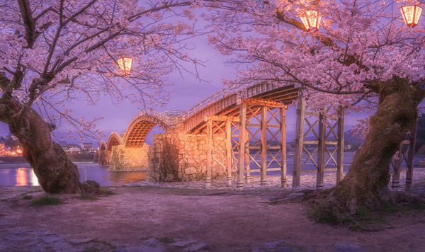 Photograph Vu Quan Cherry Blossom Bridge on One Eyeland