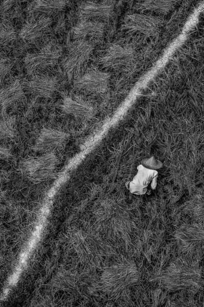 Photograph Sujon Adikary The Farmer on One Eyeland